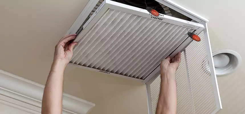 Preventive Cockroach-Proofing for Ducts in Monrovia