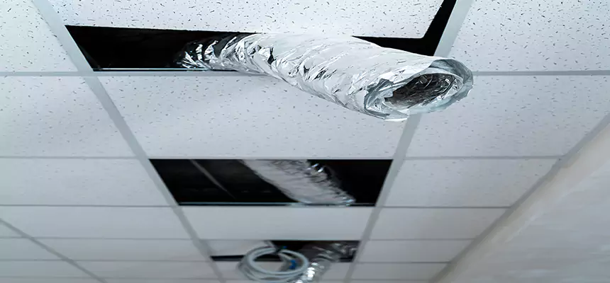 Affordable HVAC Sanitizing After Pest Removal in Monrovia