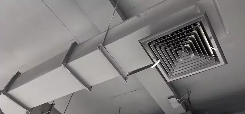 Our Pest Removal From Ducts Services in Monrovia, CA