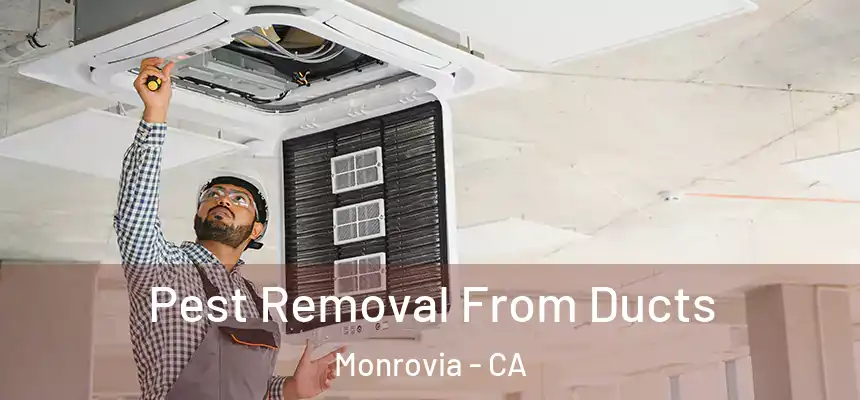  Pest Removal From Ducts Monrovia - CA