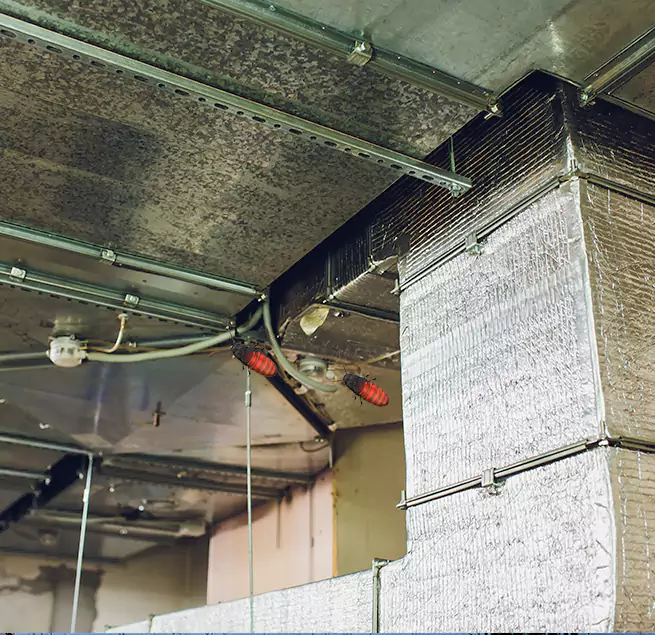 Why Homeowners & Businesses Trust Us in Monrovia, CA?