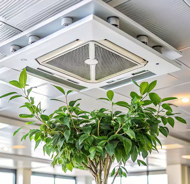 Why Homeowners & Businesses Trust Us in Monrovia, CA?