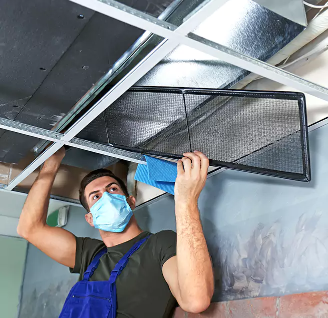 Why Homeowners Businesses Trust Us in Monrovia, CA?